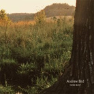 cover for andrew bird