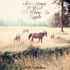 cover for bill callahan cover for bill callahan
