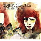 cover for camera obscura