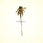 cover for patrick watson cover for patrick watson
