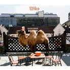 cover for wilco