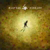 eluvium cover eluvium cover
