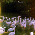 The Fresh and Onlys cover