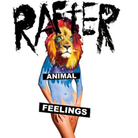 cover for rafter