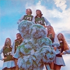 sleigh bells cover