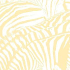 beach house cover