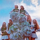 sleigh bells cover
