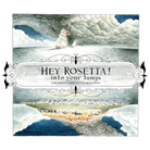 hey rosetta cover