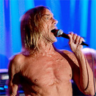 iggy cover iggy cover
