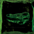 avey tare cover