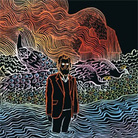 iron and wine cover iron and wine cover