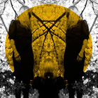 Cover for Feel It Break