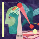 Cover for Birds & Drums Cover for Birds & Drums