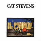 Cover for Teaser and the Firecat
