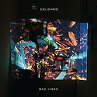Cover for Bad Vibes