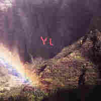Cover for The Year of Hibernation Cover for The Year of Hibernation