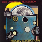 Cover for Buddha Electrostorm