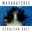Cover for Cerulean Salt