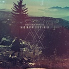 Cover for This Marvelous Grief Cover for This Marvelous Grief