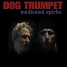 Cover for Medicated Spirits Cover for Medicated Spirits