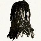 Cover for Shroud