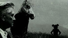 Sparklehorse Sparklehorse