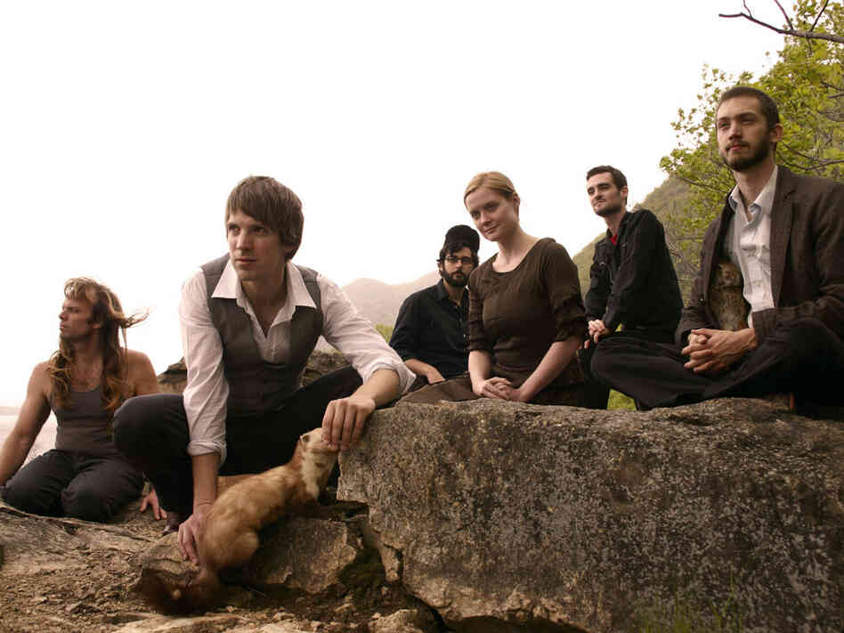 Shearwater