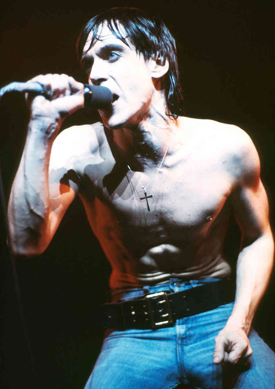 Iggy tall Iggy tall