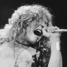 Robert Plant Robert Plant
