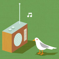Download a diverse and remarkable mix of 2010's best new music, handpicked by NPR Music.
