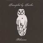 Trampled By Turtles