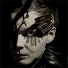 Jonsi Birgisson. Jonsi Birgisson.