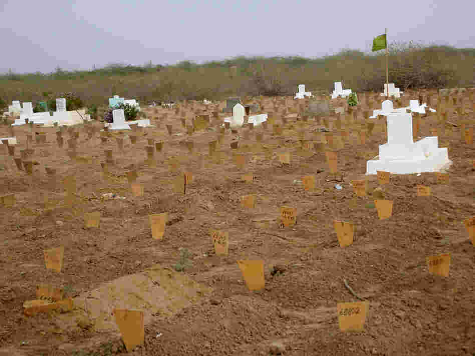 Numbered but unnamed graves in the vast cemetery where the oundation buries Karachi's forgotten dead