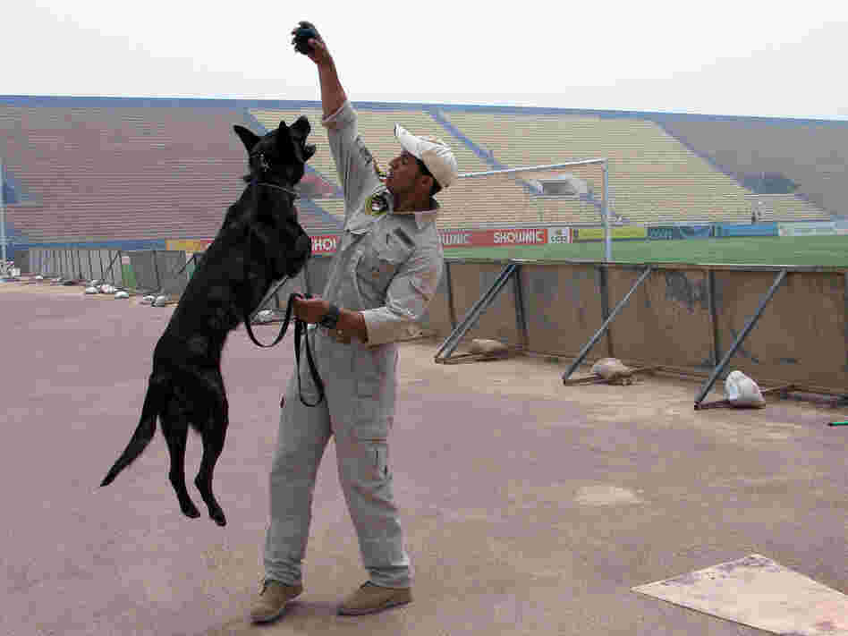 An Iraqi police officer and his dog help maintain security at Shaab soccer stadium in Baghdad.