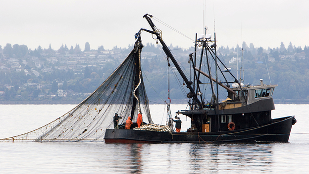 A fishing boat pulls in its net.