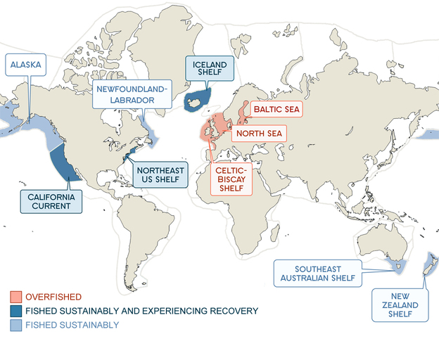 Map of fisheries