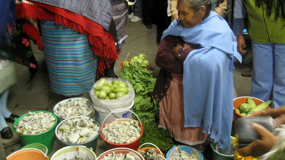 Wide: Village woman sells buckest of cuitlacoche in Ixtlahuaca, Mexico.