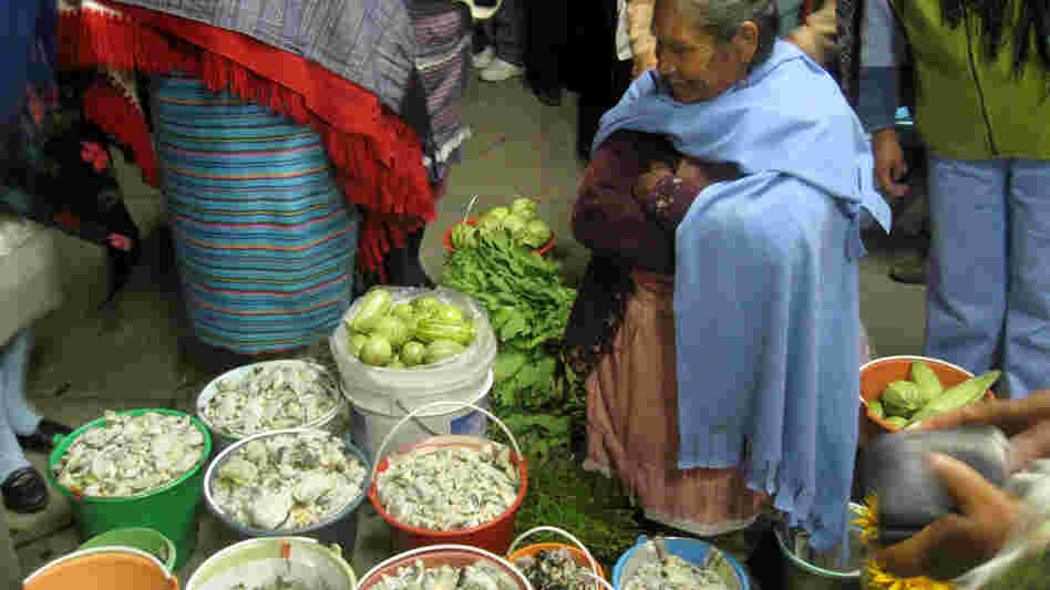 Wide: Village woman sells buckest of cuitlacoche in Ixtlahuaca, Mexico.