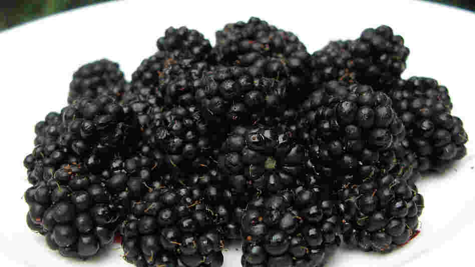 Dark purple Seattle blackberries in white bowl (Wide)