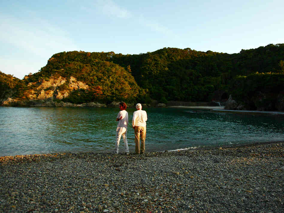 A cove where fishermen often kill dolphins in Taiji, Japan. Junji Kurokawa/AP A cove where fishermen often kill dolphins in Taiji, Japan. Junji Kurokawa/AP