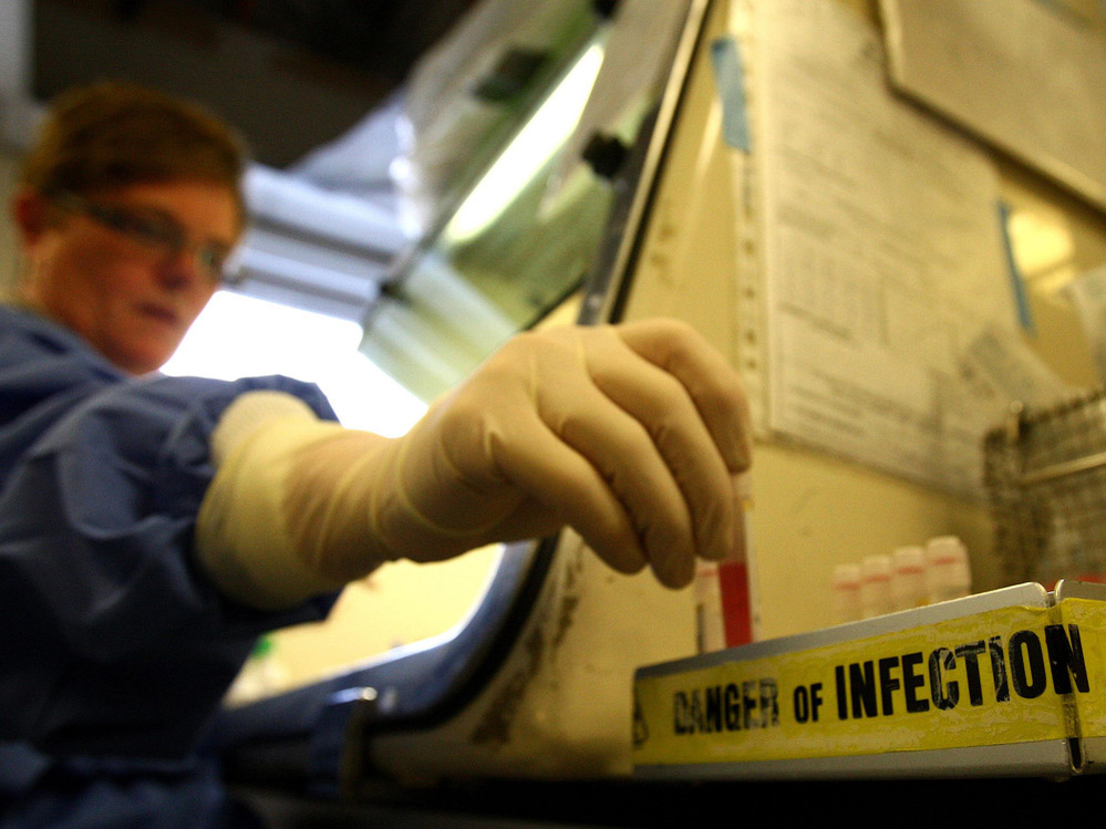 A scientist handles viral samples that have been tested for traces of swine flu.