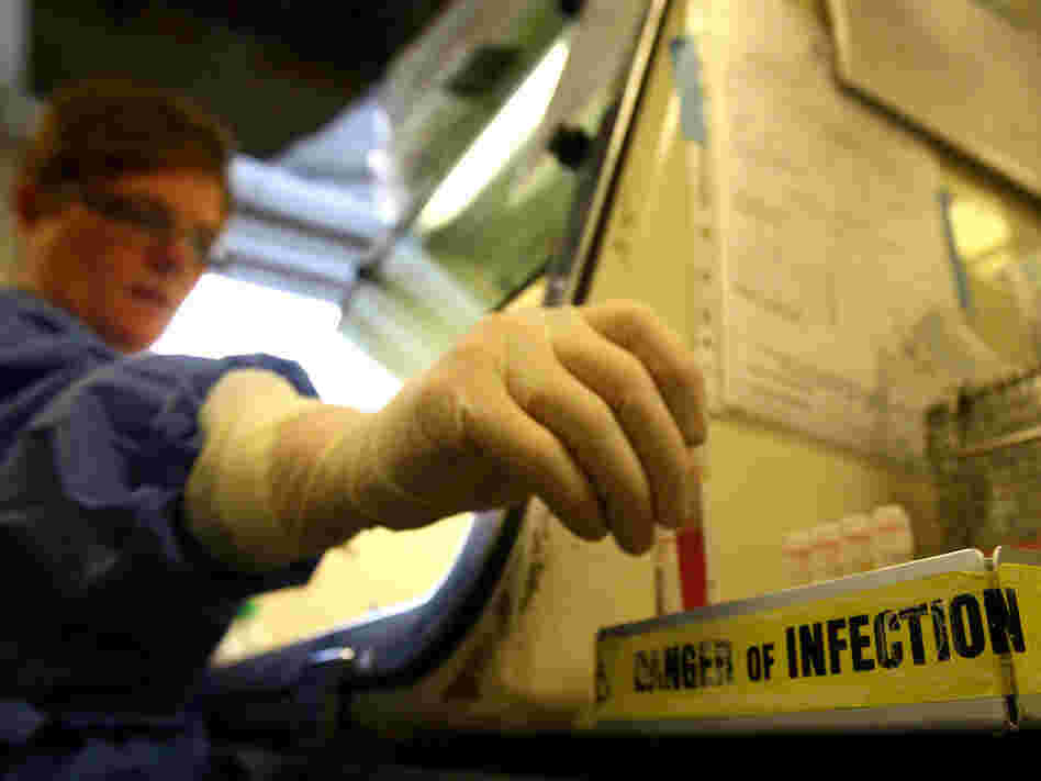 A scientist handles viral samples that have been tested for traces of swine flu.