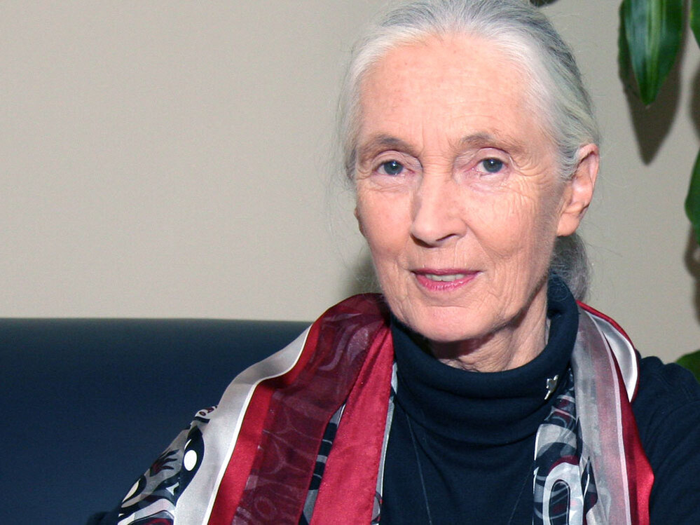 Jane Goodall