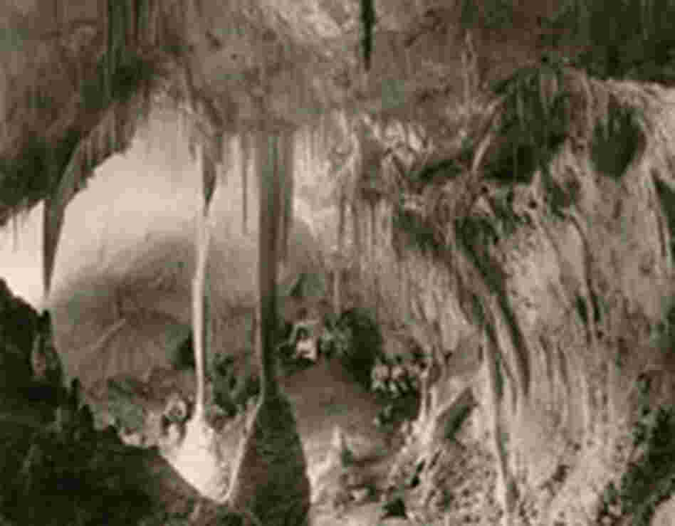 cave photographed circa 1924 cave photographed circa 1924