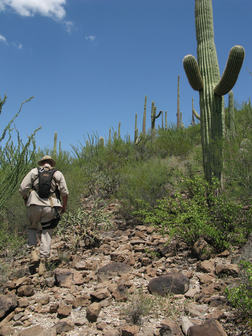 Border Patrol Search, Trauma and Rescue Agent Paul Dubois hiking in the Sonoran Desert