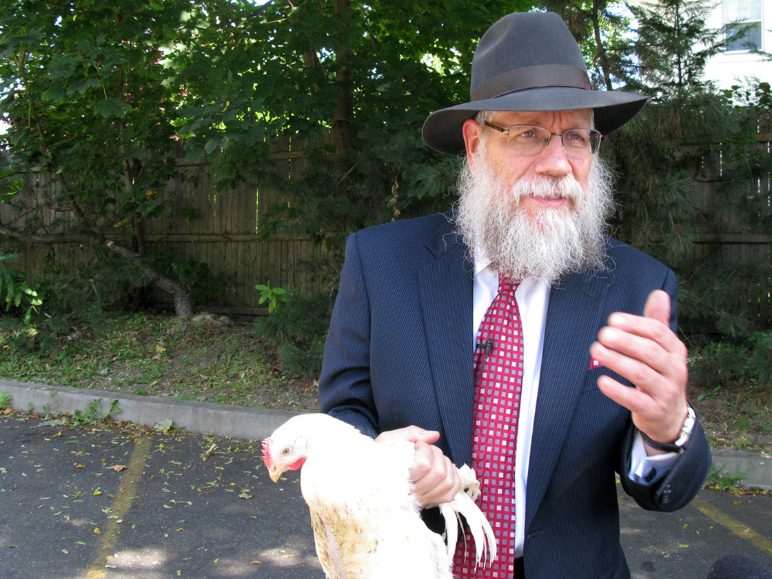 Rabbi Shea Hecht