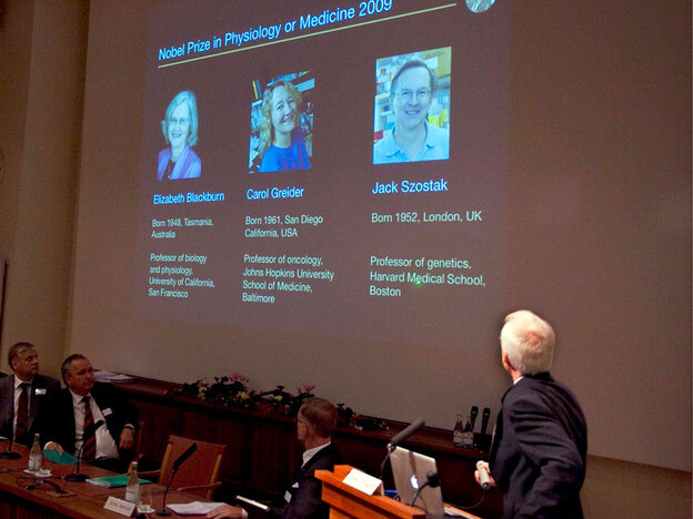 Professor Rune Toftgard presents portraits of the Nobel Prize winners for Medicine 2009.