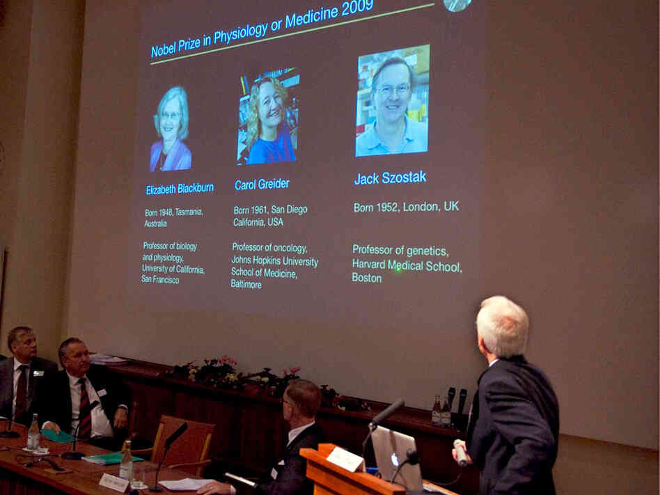 Professor Rune Toftgard presents portraits of the Nobel Prize winners for Medicine 2009.