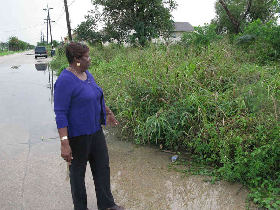 Lower Ninth Ward Neighborhood Council President Vera McFadden