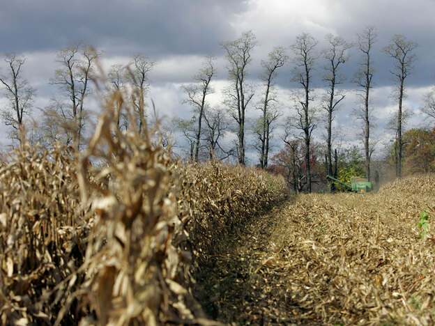 A farmer harvests corn on a farm near in Spring Mills, Pa.